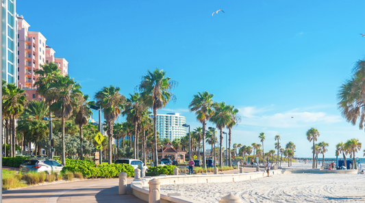 A Complete Guide to Move to Aventura, Miami Beach, and the Surrounding Areas