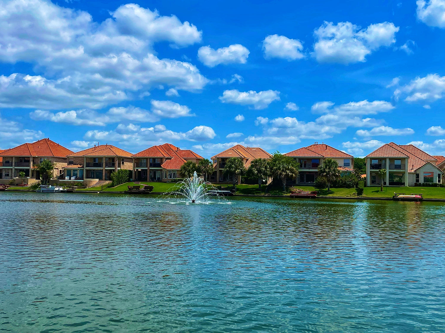 local Palmetto moving services