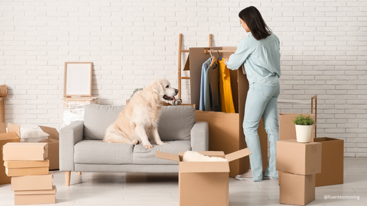 How to Move with Pets in South Florida — Heat, Stress, and What Vets Recommend
